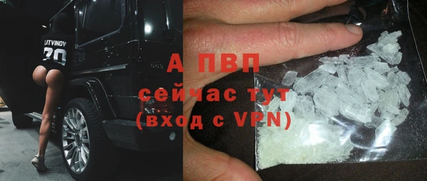ПСИЛОЦИБИНОВЫЕ ГРИБЫ Ельня
