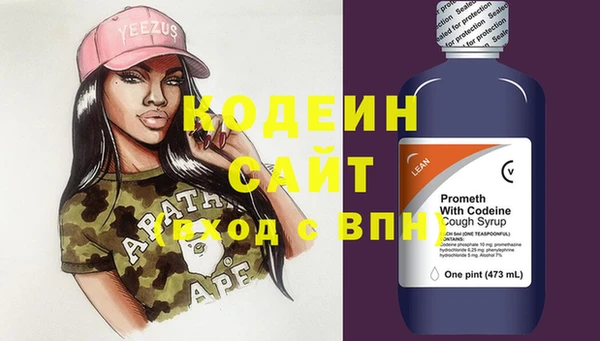 ПСИЛОЦИБИНОВЫЕ ГРИБЫ Ельня