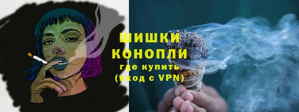 МДПВ Елизово
