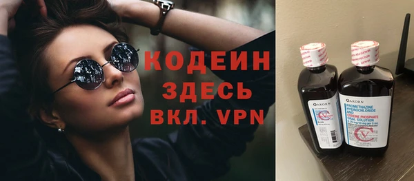 ПСИЛОЦИБИНОВЫЕ ГРИБЫ Ельня