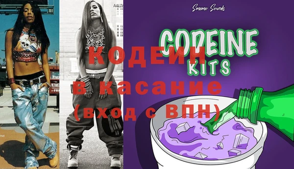 ПСИЛОЦИБИНОВЫЕ ГРИБЫ Ельня