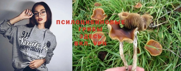 ПСИЛОЦИБИНОВЫЕ ГРИБЫ Ельня