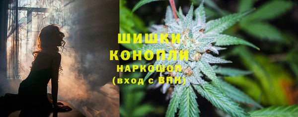 ПСИЛОЦИБИНОВЫЕ ГРИБЫ Ельня
