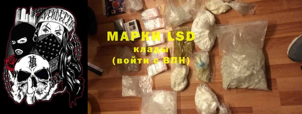 ПСИЛОЦИБИНОВЫЕ ГРИБЫ Ельня