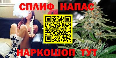 стафф Балаково