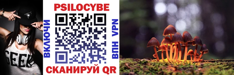 Галлюциногенные грибы Cubensis  Бор 