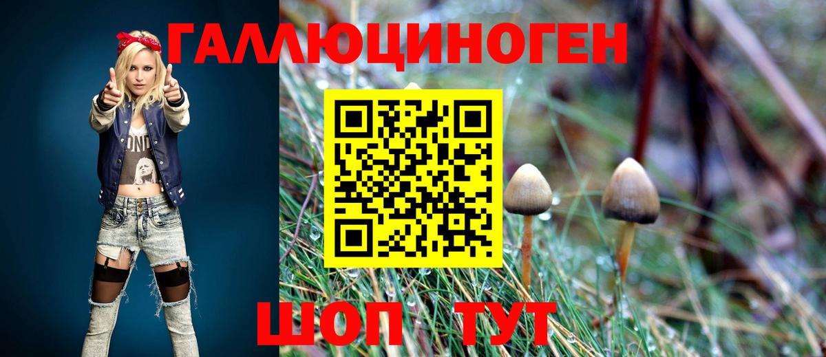 Галлюциногенные грибы Cubensis Бор