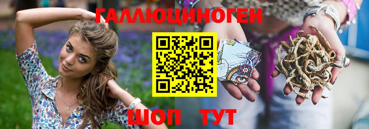 Псилоцибиновые грибы Psilocybine cubensis Бор